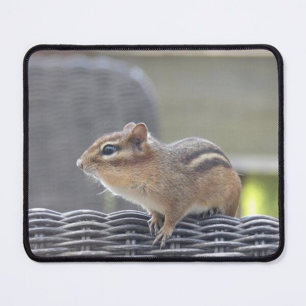 Item preview, Chipmunk designed and sold by Samantha Giordano.