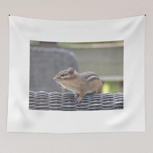 Item preview, Chipmunk designed and sold by Samantha Giordano.