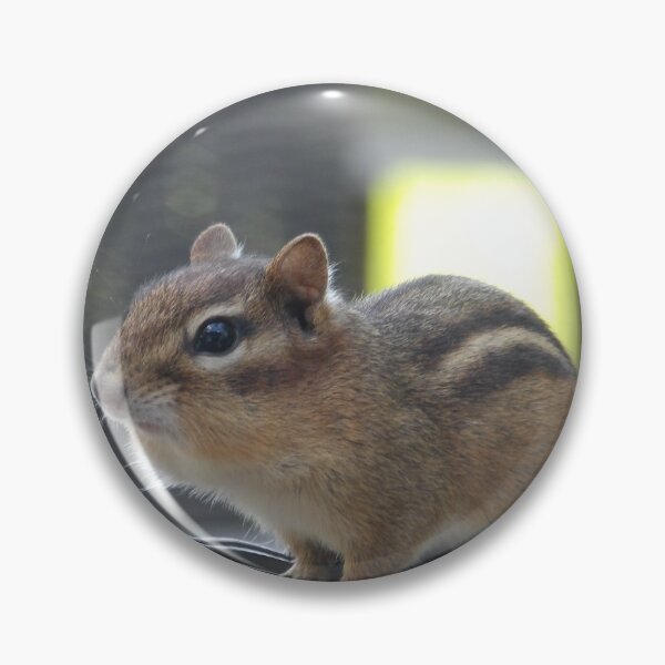 Artikelvorschau, Chipmunk entworfen und verkauft von Samantha Giordano.