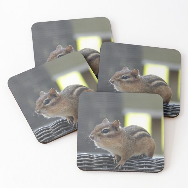 Item preview, Chipmunk designed and sold by Samantha Giordano.