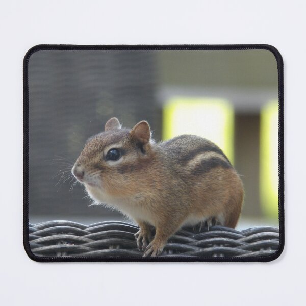 Item preview, Chipmunk designed and sold by Samantha Giordano.