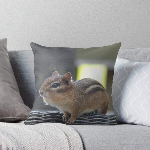 Item preview, Chipmunk designed and sold by Samantha Giordano.