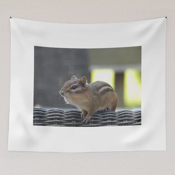 Item preview, Chipmunk designed and sold by Samantha Giordano.