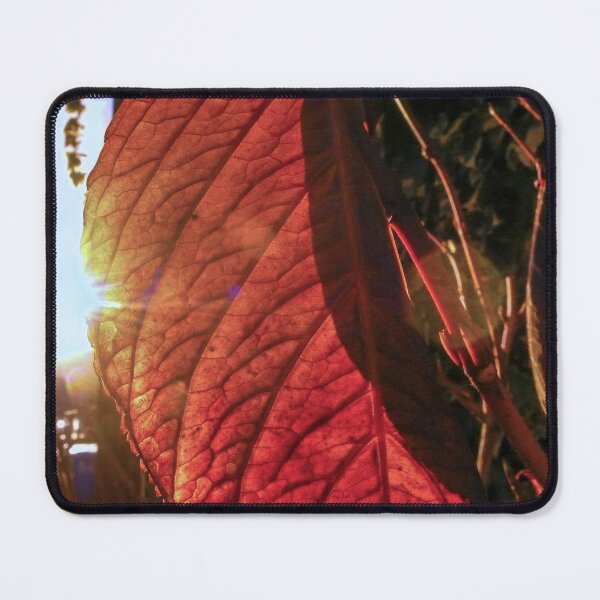 Item preview, Looking - A View designed and sold by Carl Gaynor.