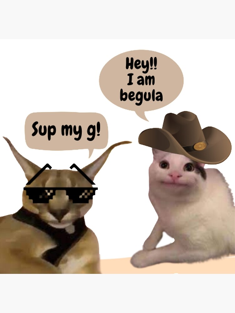 Beluga cat memes playlist for if I am bored 