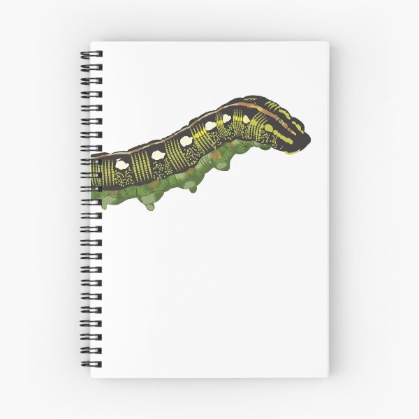 Item preview, Striped Hark-moth caterpillar for entomology nerds designed and sold by Flodaj.