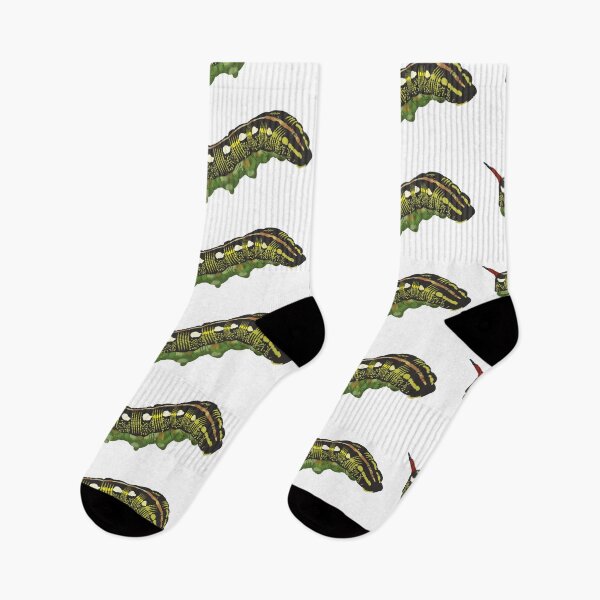 Item preview, Striped Hark-moth caterpillar for entomology nerds designed and sold by Flodaj.