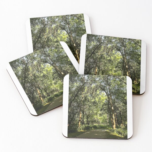 Item preview, Woodland cathedral--summer morning designed and sold by Joel Bader.