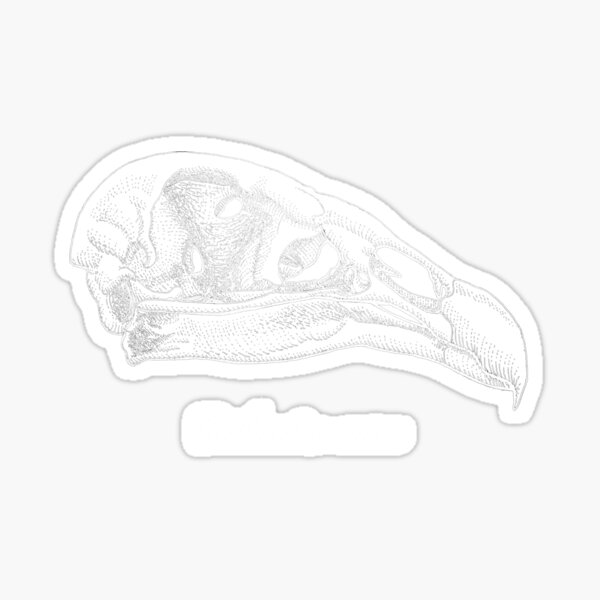 Item preview, Turkey vulture skull light on dark designed and sold by Drawinism.