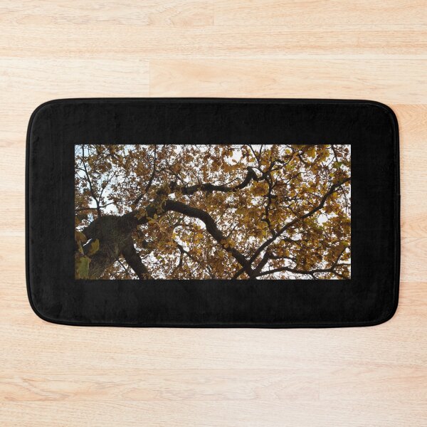 Item preview, Oak designed and sold by amanda150771.
