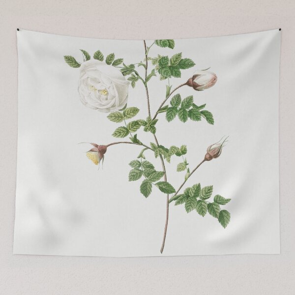 Item preview, Les Roses by Pierre-Joseph Redouté designed and sold by EsotericBotanic.