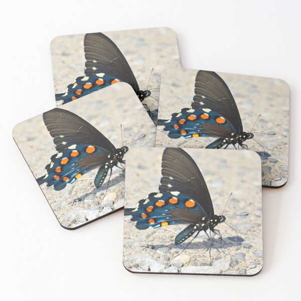 Item preview, Swallowtail Butterfly designed and sold by LisaWootenPhoto.