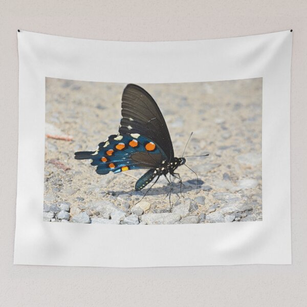 Item preview, Swallowtail Butterfly designed and sold by LisaWootenPhoto.