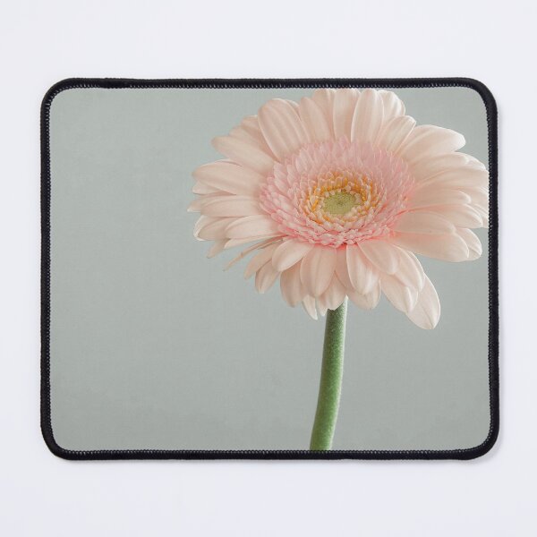 Item preview, Pink Gerber designed and sold by Interpret108.
