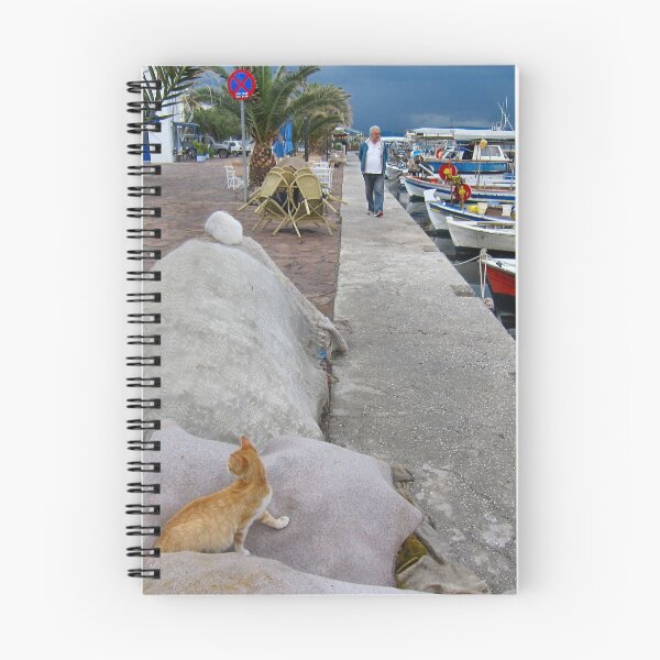Item preview, The harbour cat.. designed and sold by ronsaunders47.
