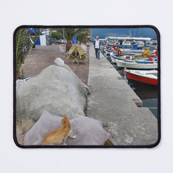 Item preview, The harbour cat.. designed and sold by ronsaunders47.