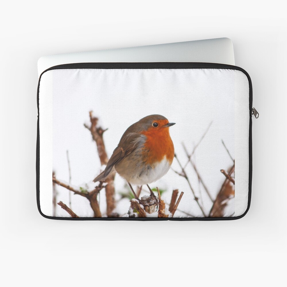 Item preview, Laptop Sleeve designed and sold by Coigach.