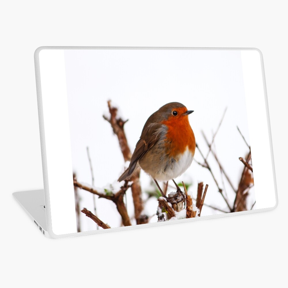 Item preview, Laptop Skin designed and sold by Coigach.