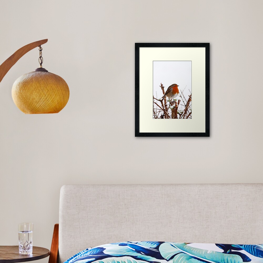 Item preview, Framed Art Print designed and sold by Coigach.
