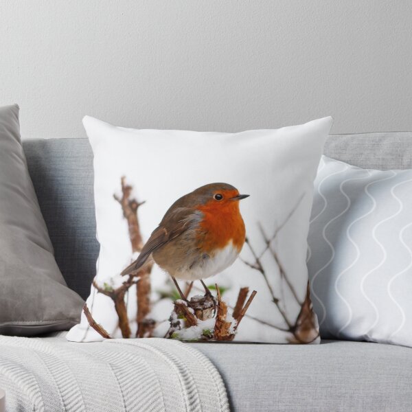 PORTRAIT: ROBIN ALONE Throw Pillow