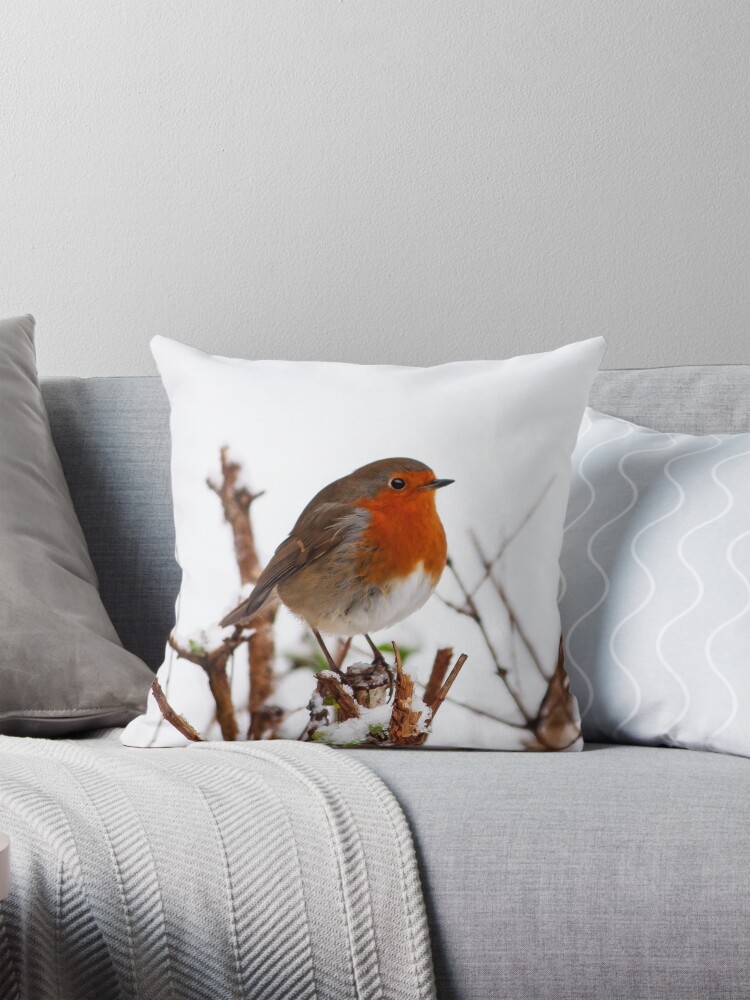 Thumbnail 1 of 4, Pillow, PORTRAIT: ROBIN ALONE designed and sold by Coigach.