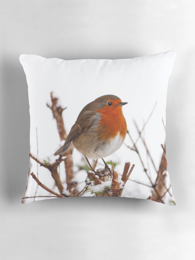 Thumbnail 3 of 4, Pillow, PORTRAIT: ROBIN ALONE designed and sold by Coigach.