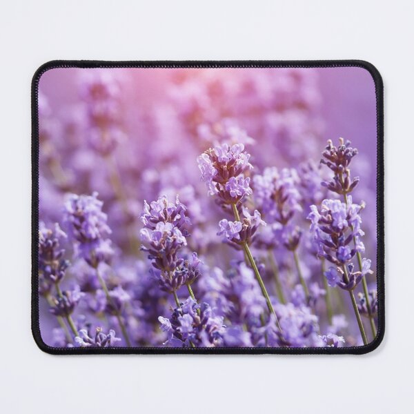 Item preview, Dark Purple Lavender Flowers designed and sold by silviaol.