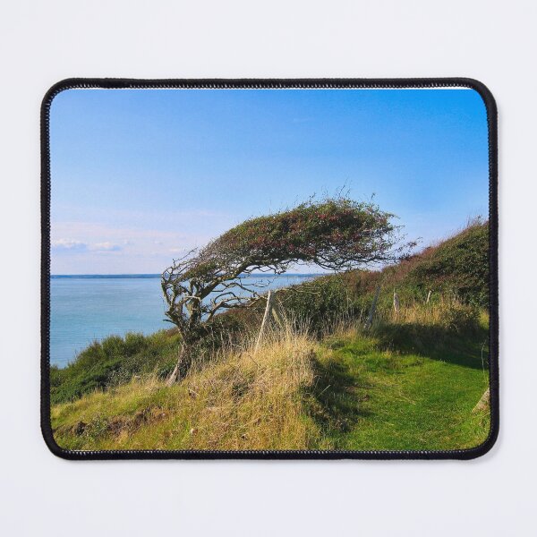 Item preview, Which way the wind blows.. designed and sold by ronsaunders47.