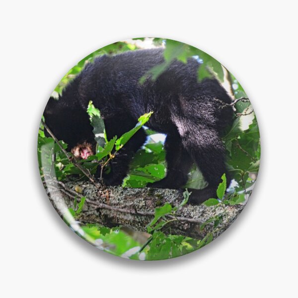 Item preview, Balancing Baby Black Bear designed and sold by LisaWootenPhoto.