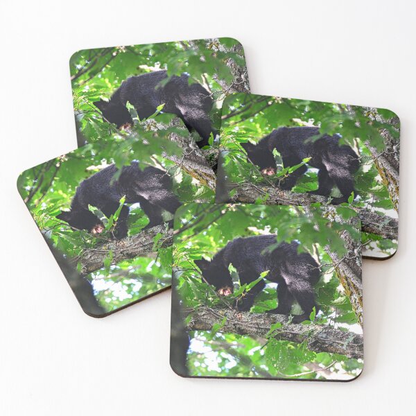 Item preview, Balancing Baby Black Bear designed and sold by LisaWootenPhoto.