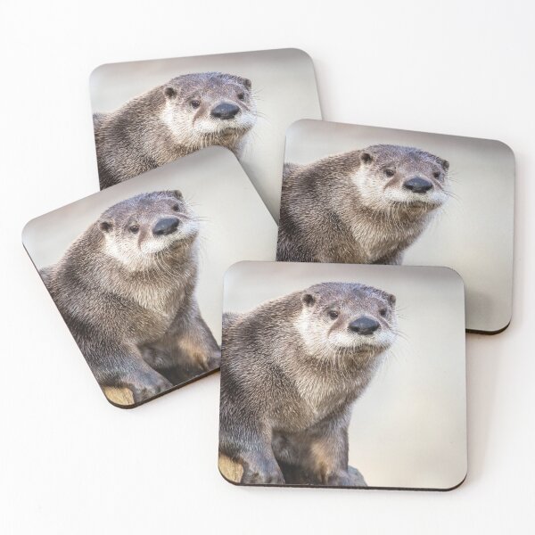 Artikelvorschau, North American River Otter-Porträt mit weichem, unscharfem Hintergrund entworfen und verkauft von Rabbitti.