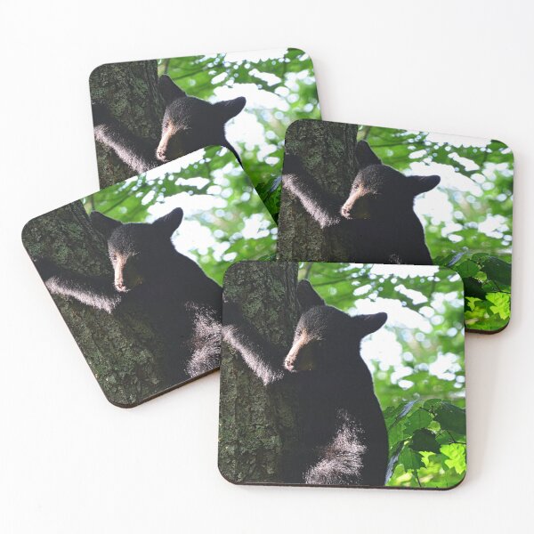 Item preview, Baby Bear Climbing A Tree designed and sold by LisaWootenPhoto.