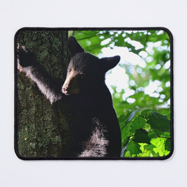 Item preview, Baby Bear Climbing A Tree designed and sold by LisaWootenPhoto.