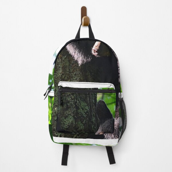 Item preview, Baby Bear Climbing A Tree designed and sold by LisaWootenPhoto.