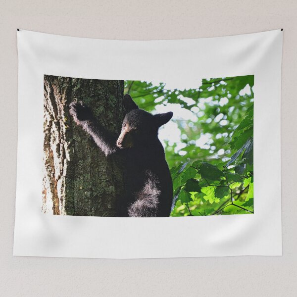Item preview, Baby Bear Climbing A Tree designed and sold by LisaWootenPhoto.