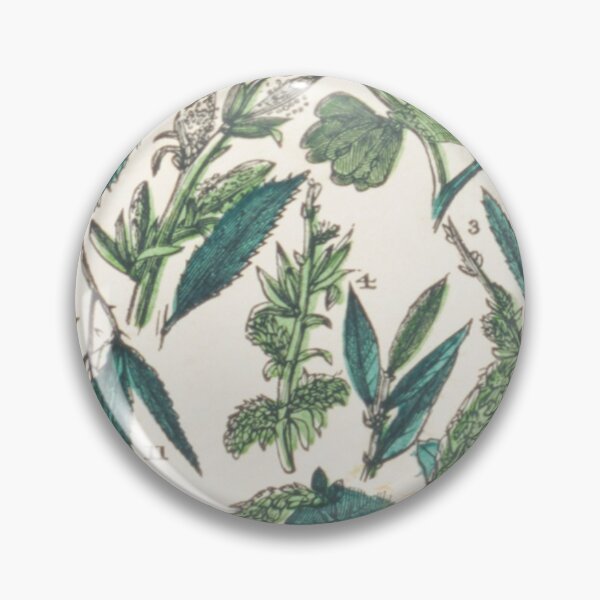 Item preview, Leafy Green Vintage Botanical Chart designed and sold by ZinZoe.