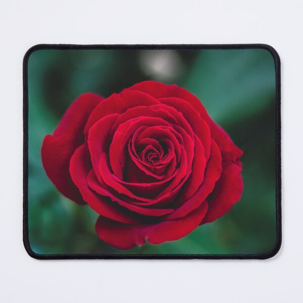 Item preview, Beautiful Red Rose designed and sold by newburyboutique.