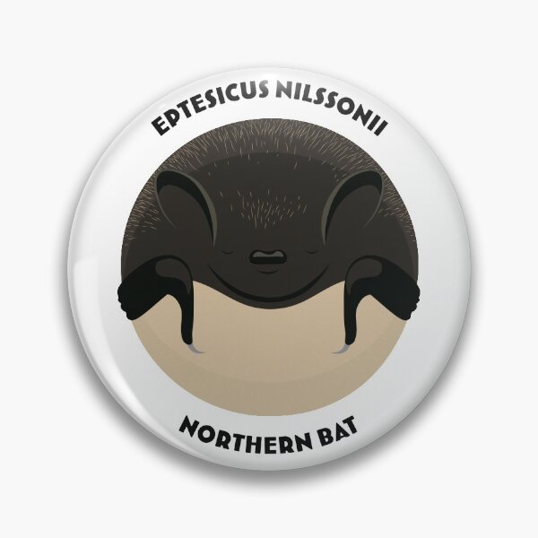 Item preview, Hibernating Northern bat drawing with scientific and English names designed and sold by MarisG.