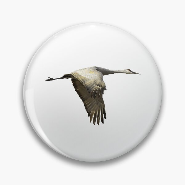 Item preview, Isolated Sandhill Crane 1-2021 designed and sold by Thomasyoung.