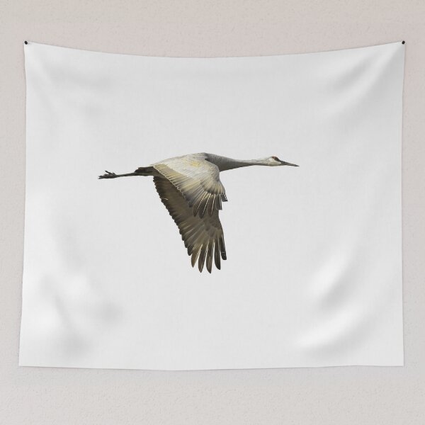 Item preview, Isolated Sandhill Crane 1-2021 designed and sold by Thomasyoung.