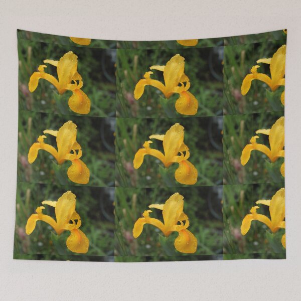 Item preview, Yellow iris flower in green background designed and sold by naturematters.