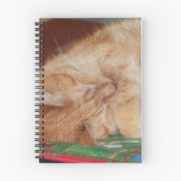 Item preview, Sweet Sleeping Ginger Boy designed and sold by Frankie Cat Photography.
