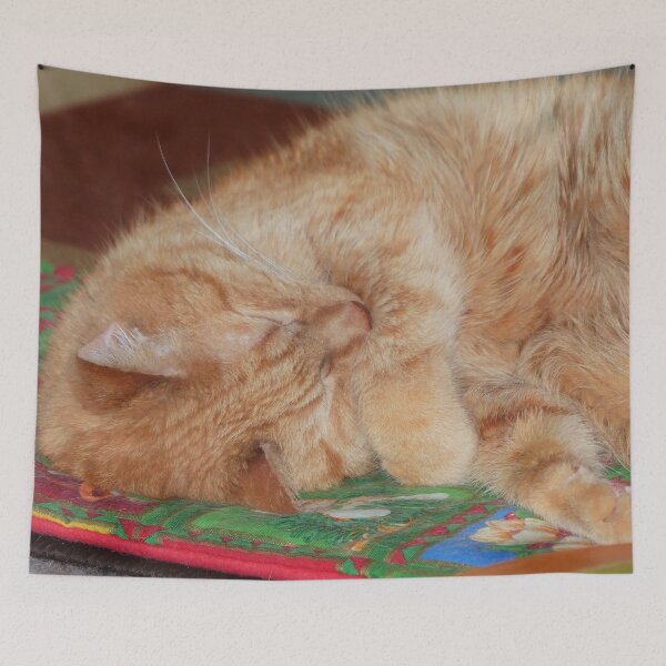 Item preview, Sweet Sleeping Ginger Boy designed and sold by Frankie Cat Photography.