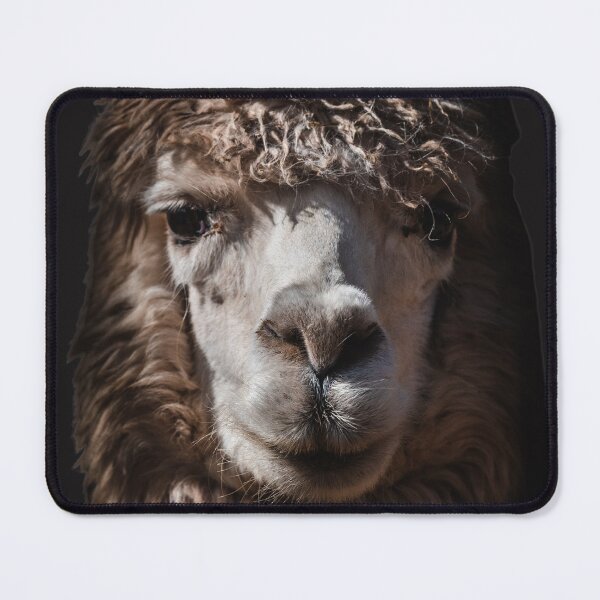 Item preview, Funny Portrait Alpaca designed and sold by Alpacatata.