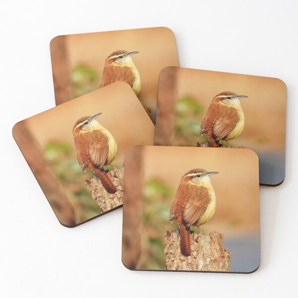 Item preview, The Absolute Seriousness of the Carolina Wren designed and sold by Barnbk02.