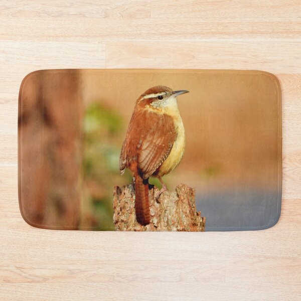 Item preview, The Absolute Seriousness of the Carolina Wren designed and sold by Barnbk02.