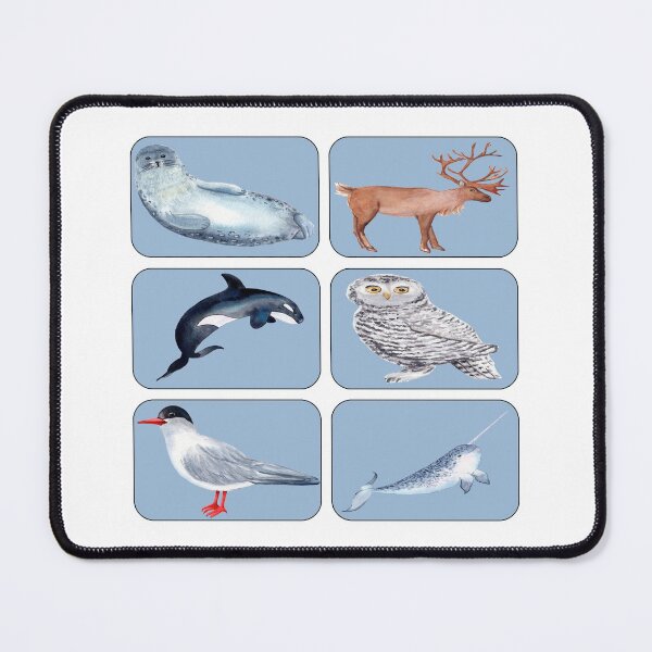 Item preview, Arctic Animals Sticker designed and sold by davidmurtagh.