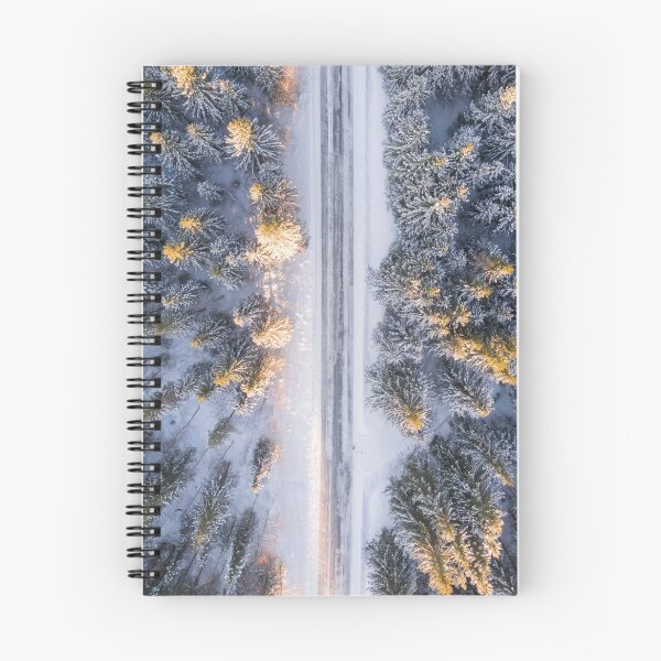 Artikelvorschau, Adlerblick im Winter entworfen und verkauft von Cursed-Creative.
