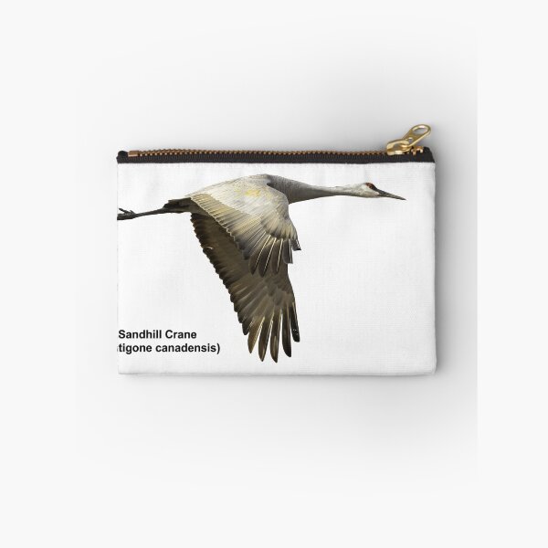 Item preview, Isolated Sandhill Crane 2-2021 designed and sold by Thomasyoung.