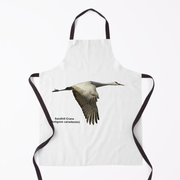 Item preview, Isolated Sandhill Crane 2-2021 designed and sold by Thomasyoung.